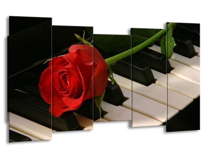 Glas schilderij Roos | Rood, Rood, Zwart | 150x80cm 5Luik