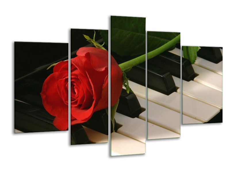 Glas schilderij Roos | Rood, Rood, Zwart | 170x100cm 5Luik