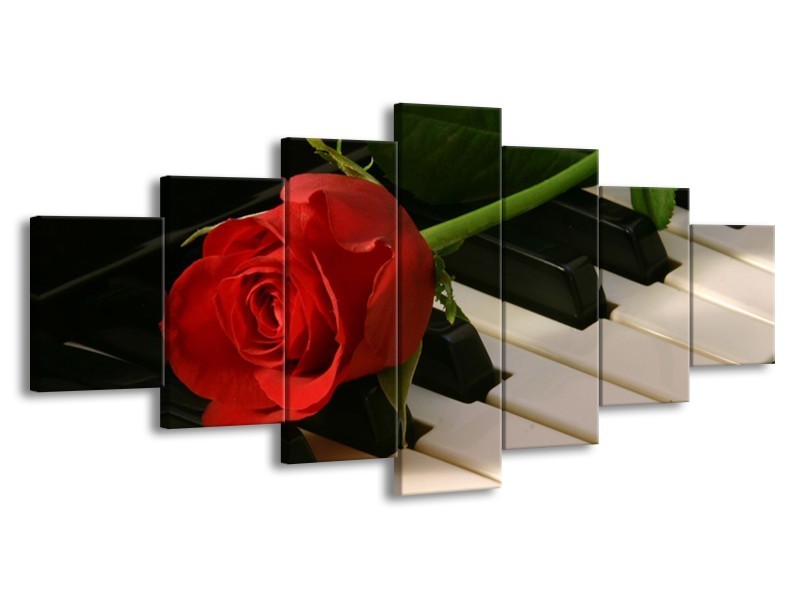 Glas schilderij Roos | Rood, Rood, Zwart | 210x100cm 7Luik