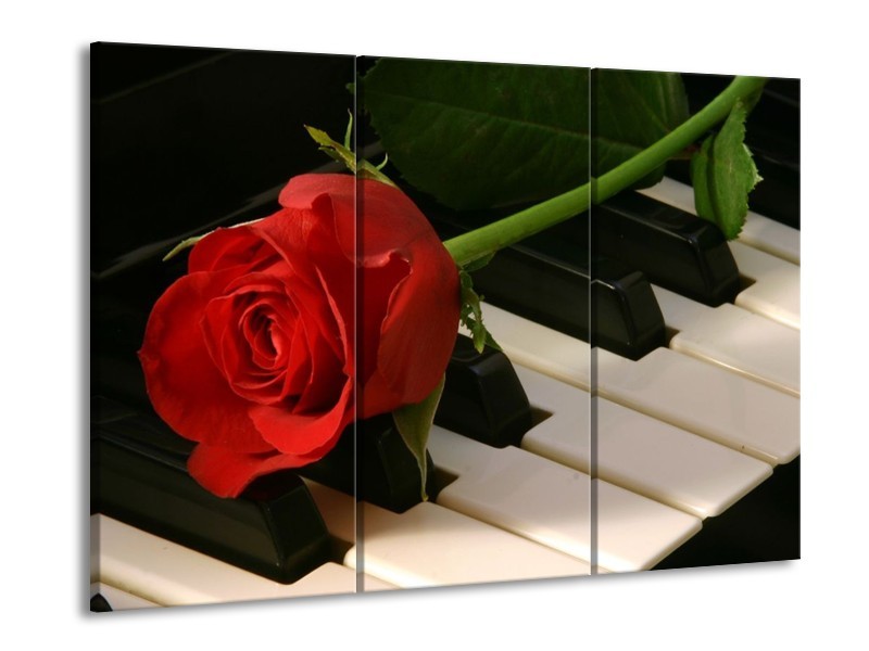 Glas schilderij Roos | Rood, Rood, Zwart | 90x60cm 3Luik