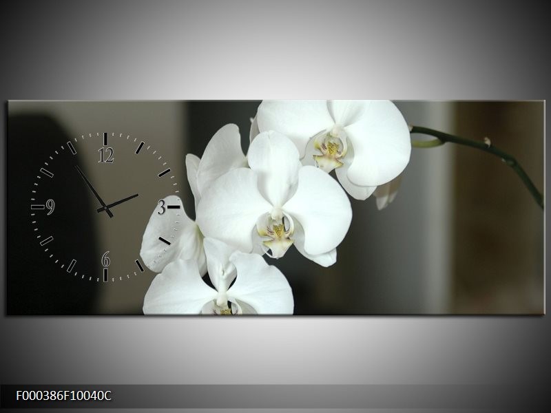 Klok schilderij Orchidee | Wit, Zwart, Grijs | 100x40cm 1Luik