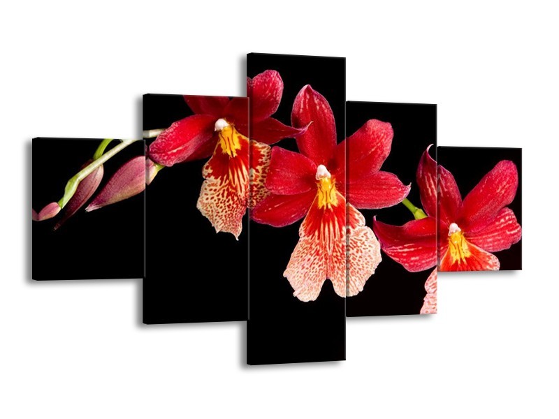 Canvas schilderij Bloem | Rood, Zwart, Geel | 125x70cm 5Luik
