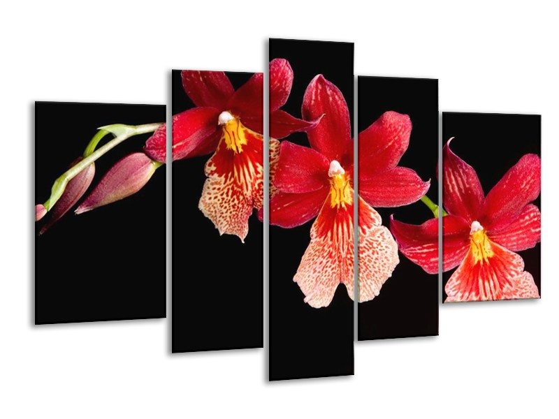 Canvas schilderij Bloem | Rood, Zwart, Geel | 170x100cm 5Luik