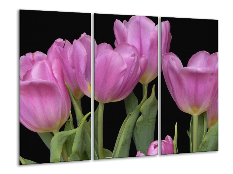 Canvas schilderij Tulpen | Paars, Groen, Zwart | 120x80cm 3Luik