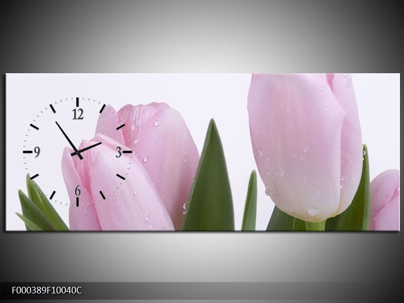 Klok schilderij Tulpen | Roze, Wit, Groen | 100x40cm 1Luik