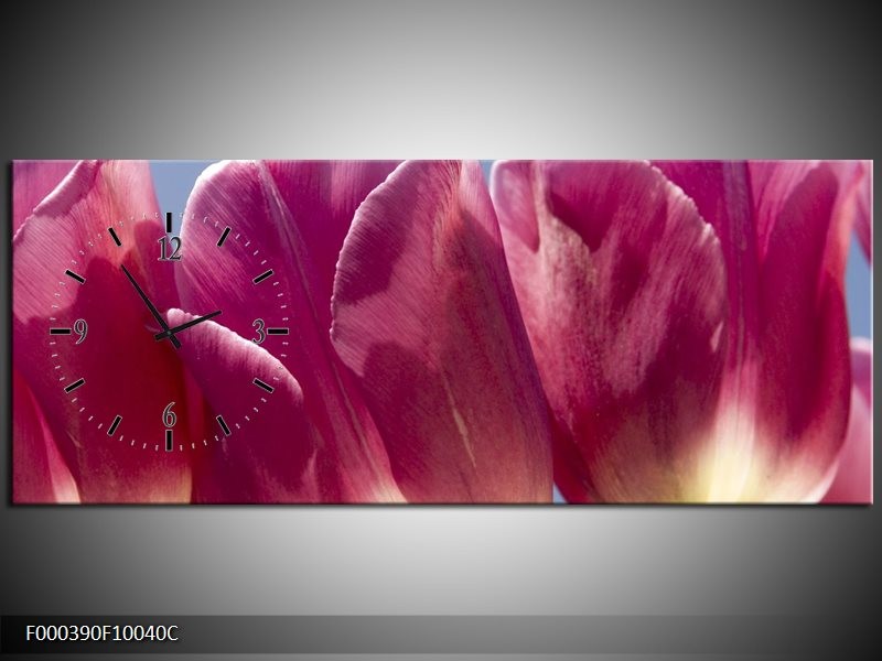 Klok schilderij Tulpen | Wit, Paars | 100x40cm 1Luik