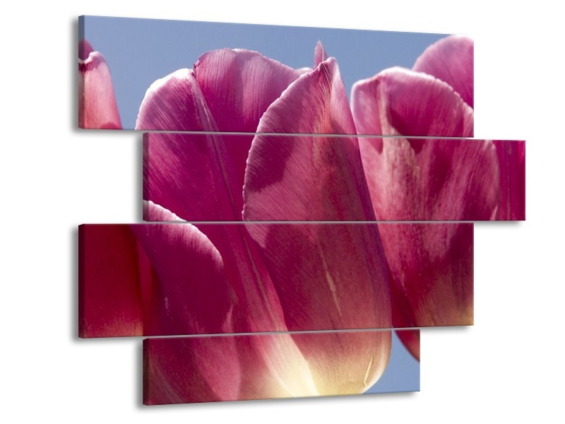 Canvas schilderij Tulpen | Wit, Paars | 115x85cm 4Luik