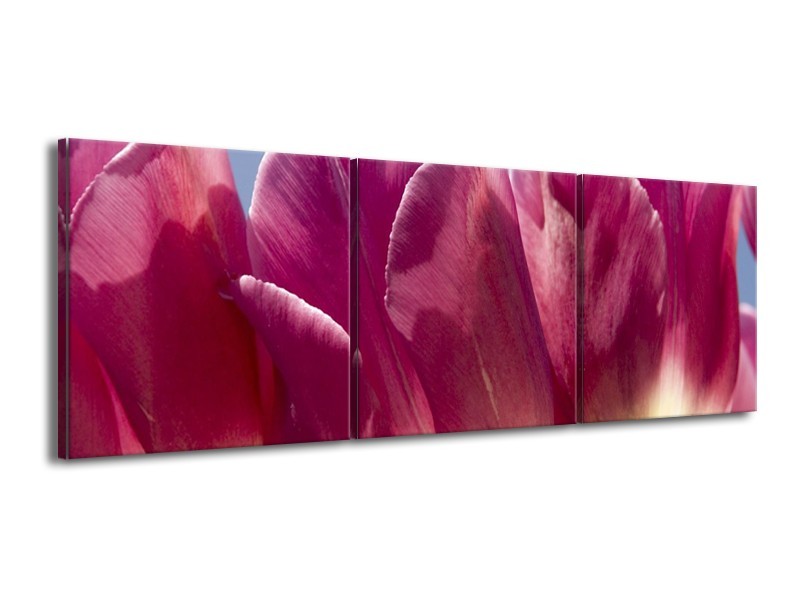 Canvas schilderij Tulpen | Wit, Paars | 150x50cm 3Luik
