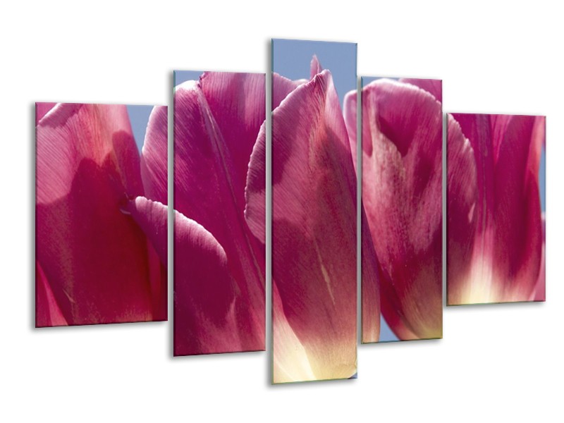 Canvas schilderij Tulpen | Wit, Paars | 170x100cm 5Luik