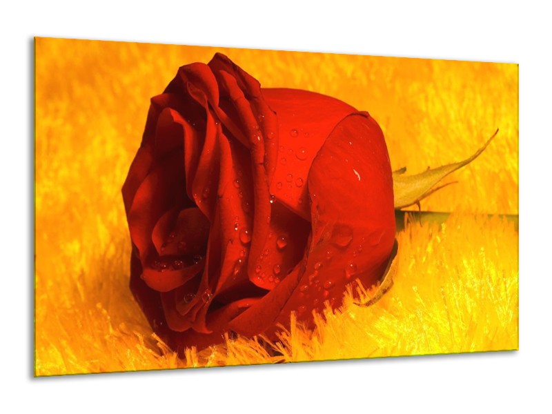 Canvas schilderij Roos | Rood, Geel, Goud | 120x70cm 1Luik