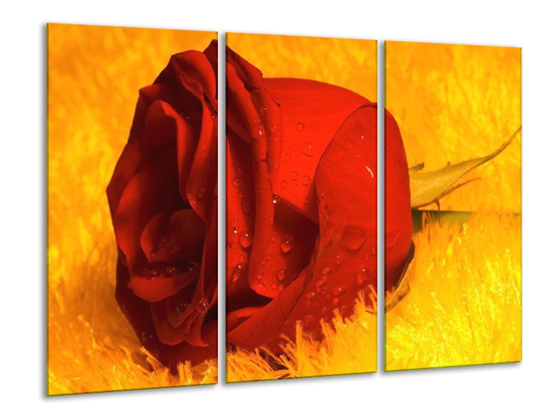 Canvas schilderij Roos | Rood, Geel, Goud | 120x80cm 3Luik