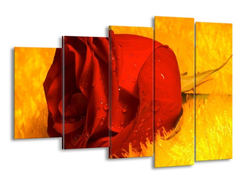 Canvas schilderij Roos | Rood, Geel, Goud | 150x100cm 5Luik