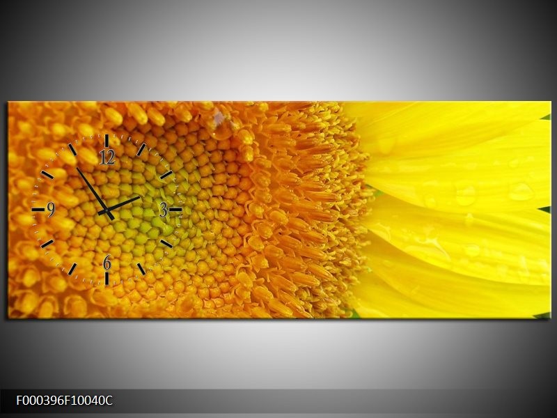 Klok schilderij Bloemen | Geel, Oranje | 100x40cm 1Luik