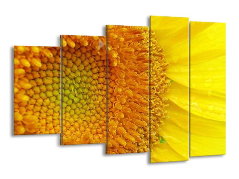 Canvas schilderij Bloemen | Geel, Oranje | 150x100cm 5Luik
