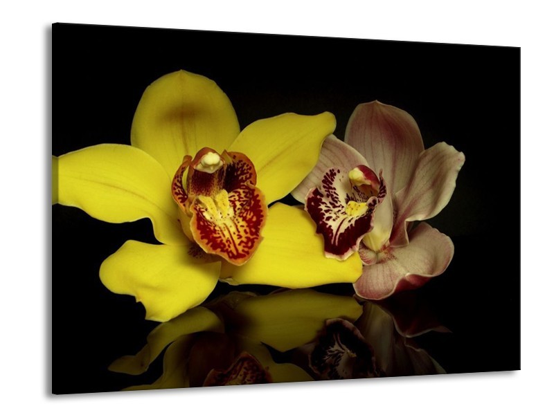 Glas schilderij Orchidee | Geel, Zwart | 100x70cm 1Luik