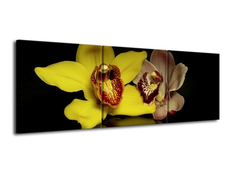 Canvas schilderij Orchidee | Geel, Zwart | 120x40cm 3Luik