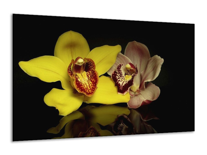 Canvas schilderij Orchidee | Geel, Zwart | 120x70cm 1Luik