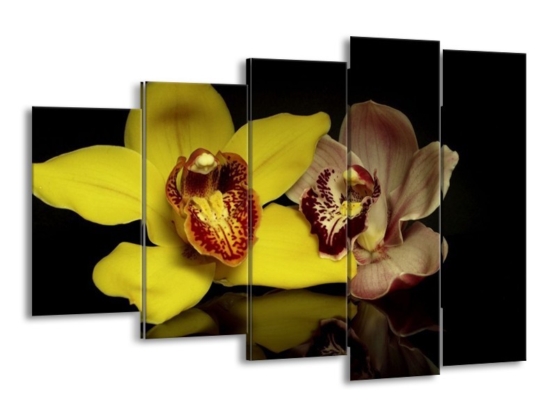 Canvas schilderij Orchidee | Geel, Zwart | 150x100cm 5Luik