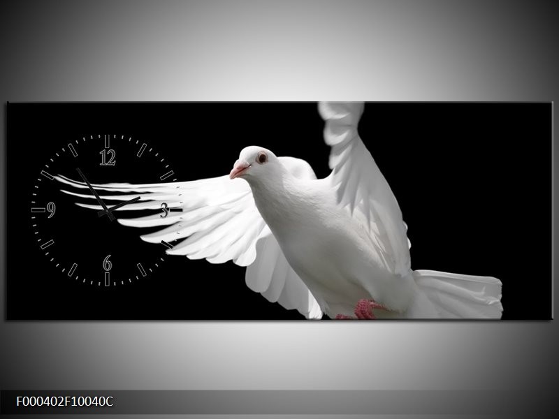 Klok schilderij Vogel | Wit, Zwart, Grijs | 100x40cm 1Luik