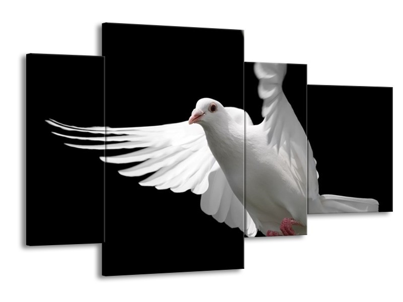 Canvas schilderij Vogel | Wit, Zwart, Grijs | 120x75cm 4Luik