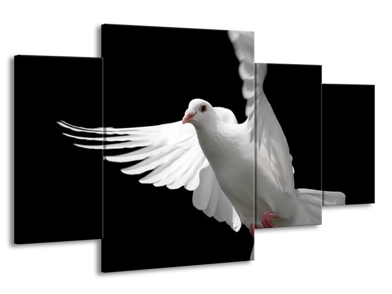 Canvas schilderij Vogel | Wit, Zwart, Grijs | 160x90cm 4Luik
