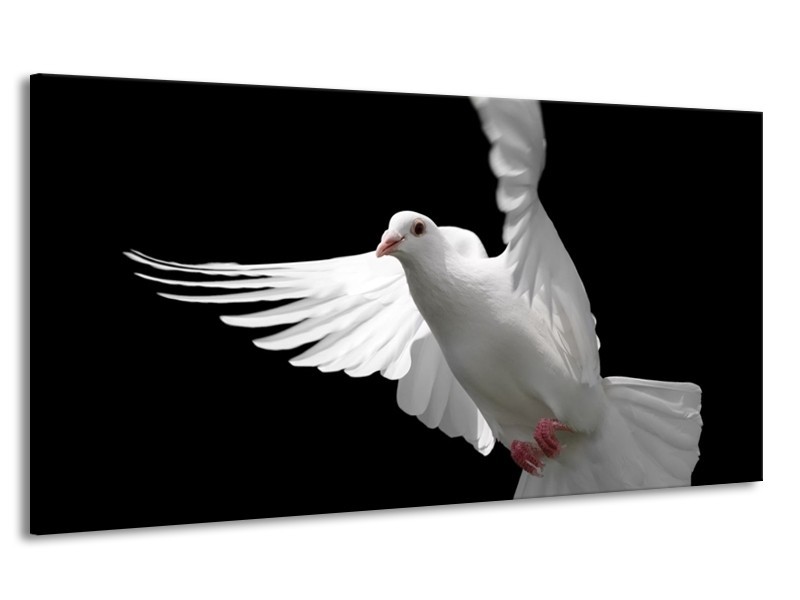 Canvas schilderij Vogel | Wit, Zwart, Grijs | 170x90cm 1Luik