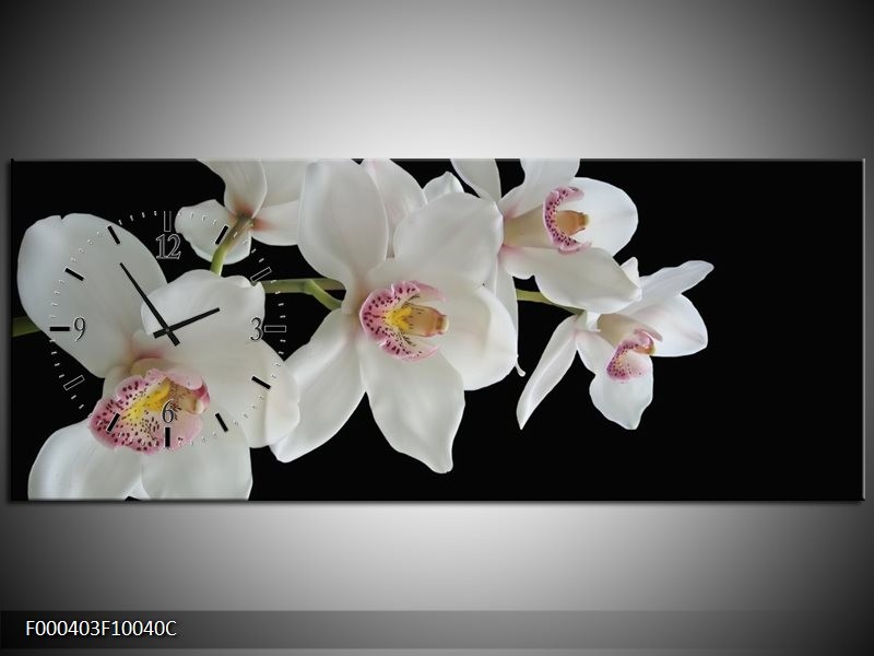 Klok schilderij Orchidee | Wit, Zwart, Geel | 100x40cm 1Luik