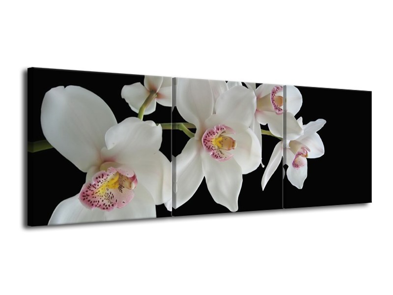 Glas schilderij Orchidee | Wit, Zwart, Geel | 120x40cm 3Luik