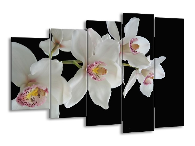 Canvas schilderij Orchidee | Wit, Zwart, Geel | 150x100cm 5Luik