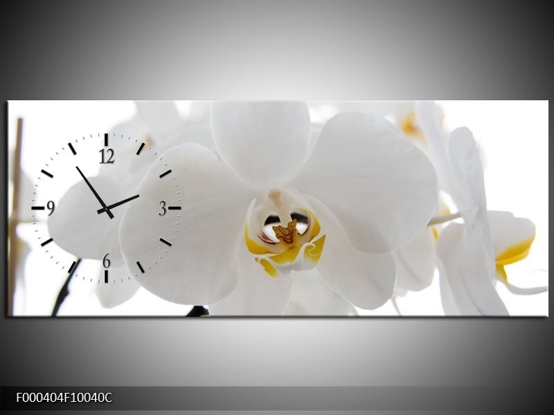 Klok schilderij Orchidee | Wit, Geel,, Zwart | 100x40cm 1Luik