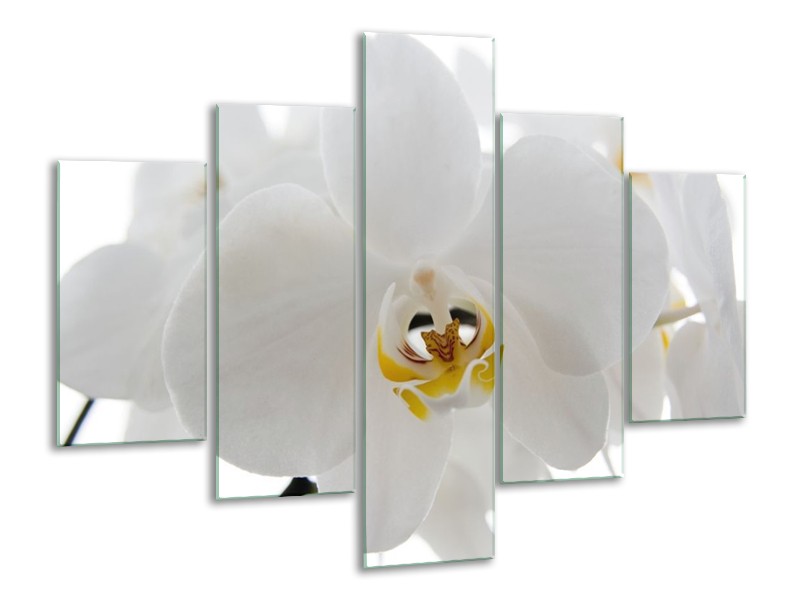 Canvas schilderij Orchidee | Wit, Geel,, Zwart | 100x70cm 5Luik