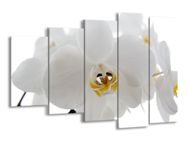 Canvas schilderij Orchidee | Wit, Geel,, Zwart | 150x100cm 5Luik