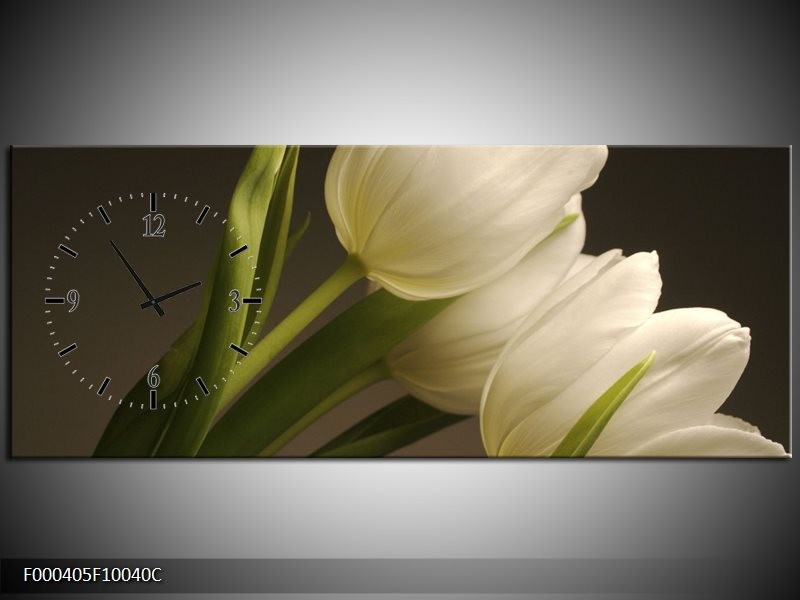 Klok schilderij Tulpen | Groen, Wit, Grijs | 100x40cm 1Luik