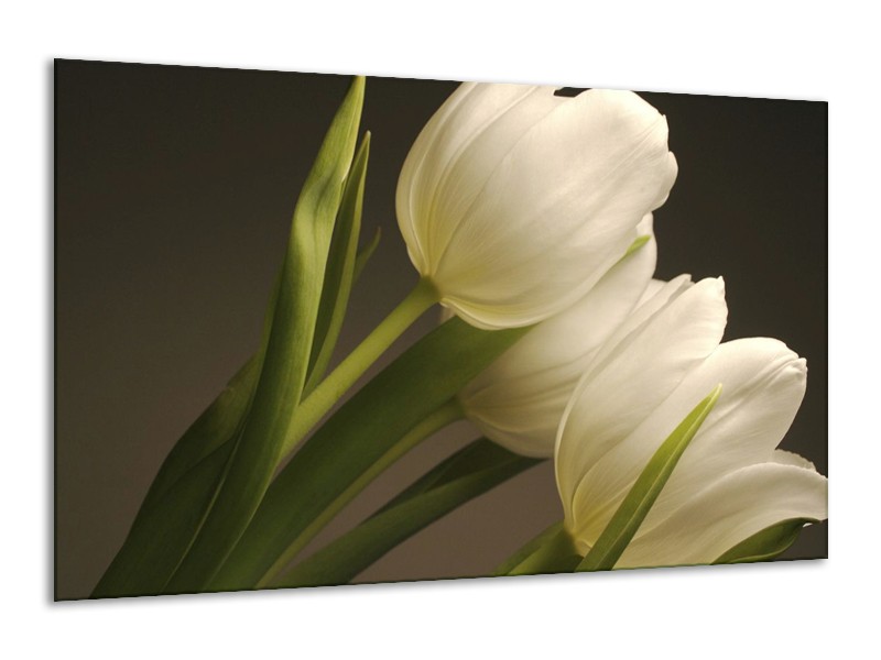 Canvas schilderij Tulpen | Groen, Wit, Grijs | 120x70cm 1Luik