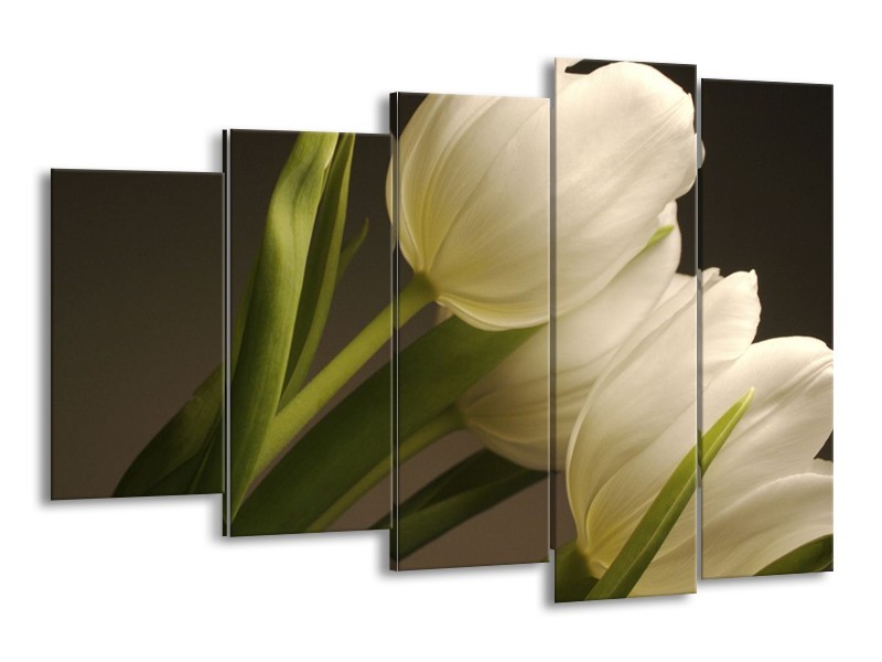 Canvas schilderij Tulpen | Groen, Wit, Grijs | 150x100cm 5Luik