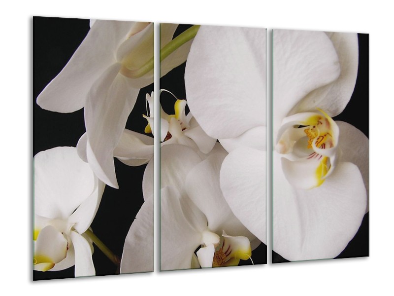 Canvas schilderij Orchidee | Wit, Zwart, Geel | 120x80cm 3Luik