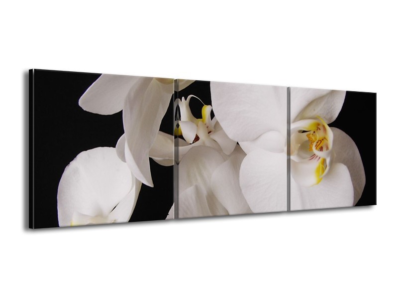 Canvas schilderij Orchidee | Wit, Zwart, Geel | 150x50cm 3Luik
