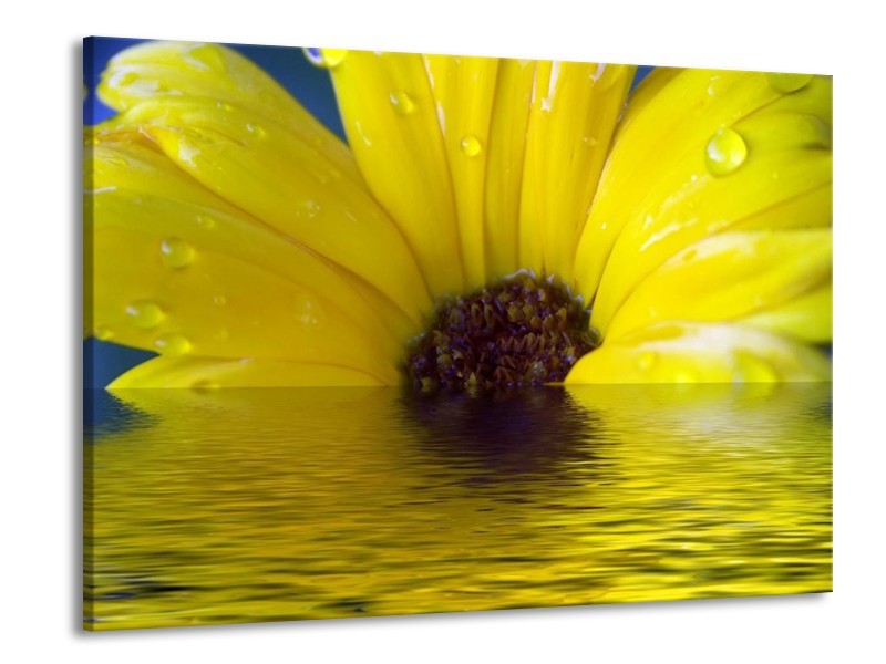 Canvas schilderij Bloem | Geel, Bruin, Grijs | 100x70cm 1Luik