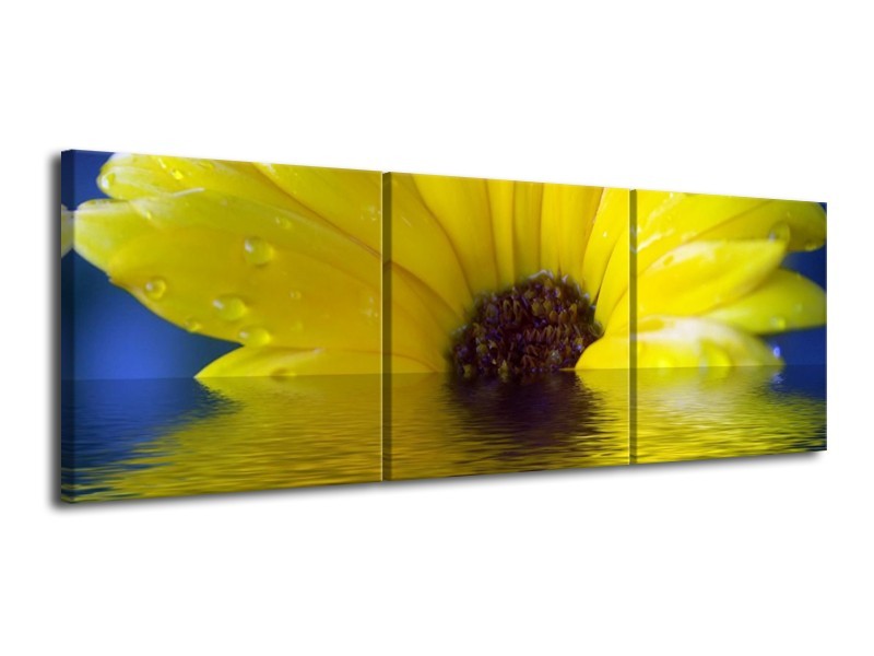 Canvas schilderij Bloem | Geel, Bruin, Grijs | 120x40cm 3Luik