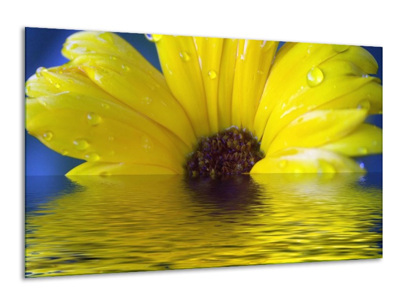 Canvas schilderij Bloem | Geel, Bruin, Grijs | 120x70cm 1Luik