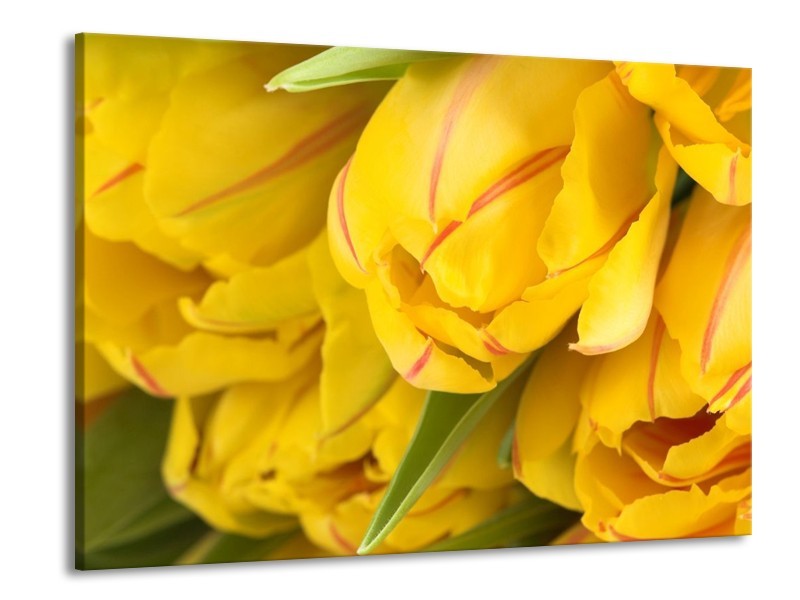 Canvas schilderij Tulpen | Geel, Rood, Groen | 100x70cm 1Luik