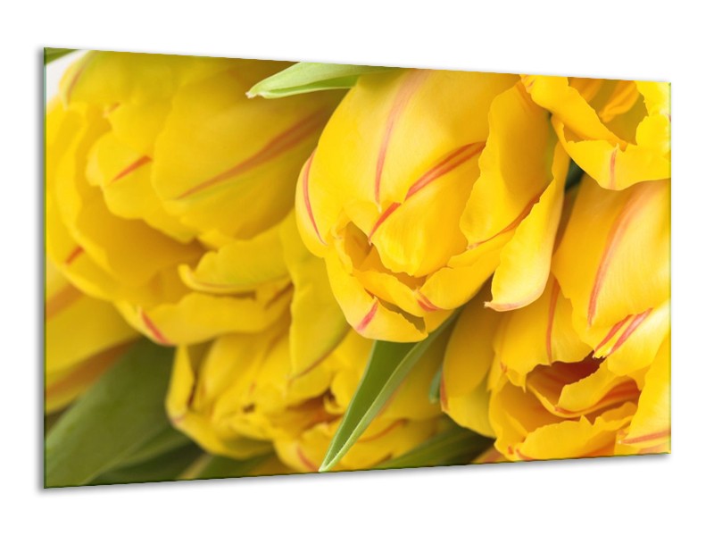 Canvas schilderij Tulpen | Geel, Rood, Groen | 120x70cm 1Luik