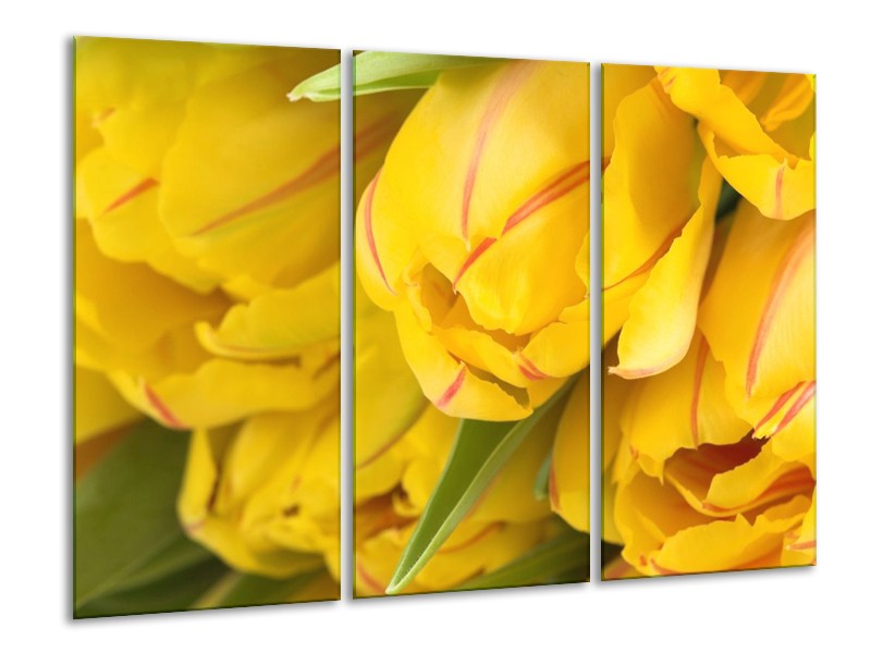 Canvas schilderij Tulpen | Geel, Rood, Groen | 120x80cm 3Luik