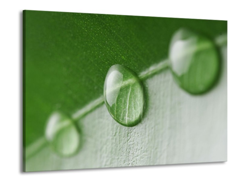 Glas schilderij Druppels | Groen, Wit | 100x70cm 1Luik