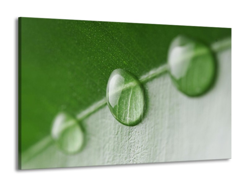 Canvas schilderij Druppels | Groen, Wit | 140x90cm 1Luik