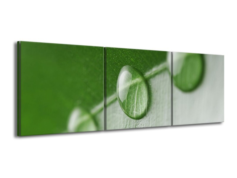 Canvas schilderij Druppels | Groen, Wit | 150x50cm 3Luik