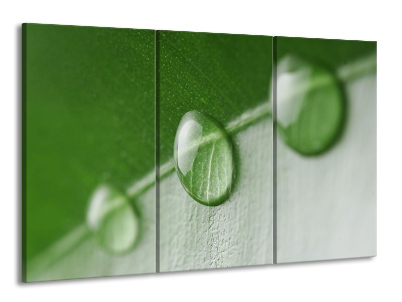 Canvas schilderij Druppels | Groen, Wit | 165x100cm 3Luik