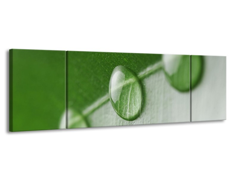Canvas schilderij Druppels | Groen, Wit | 170x50cm 3Luik