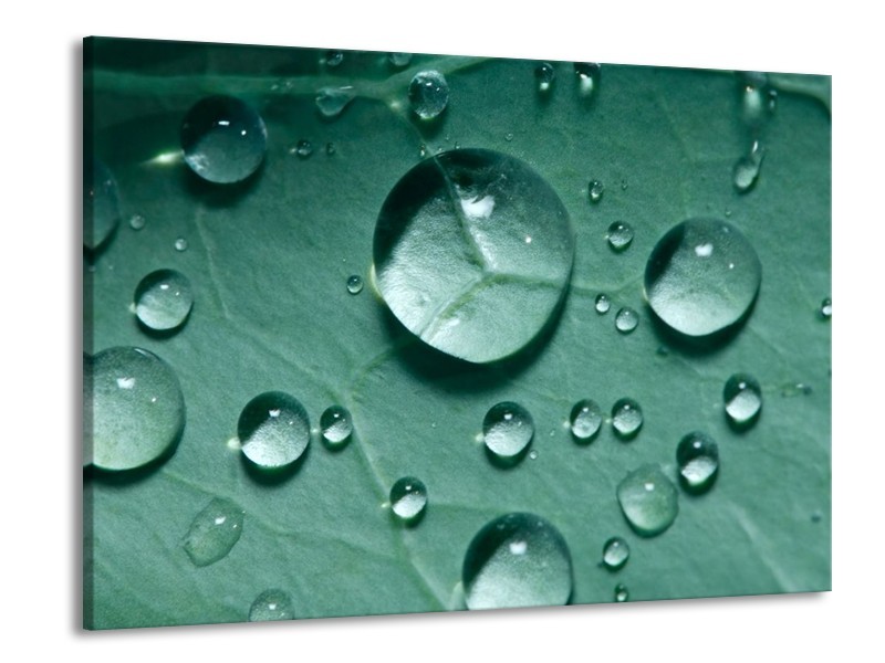 Glas schilderij Druppels | Groen, Wit, Grijs | 100x70cm 1Luik