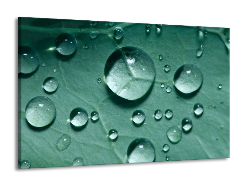 Canvas schilderij Druppels | Groen, Wit, Grijs | 140x90cm 1Luik